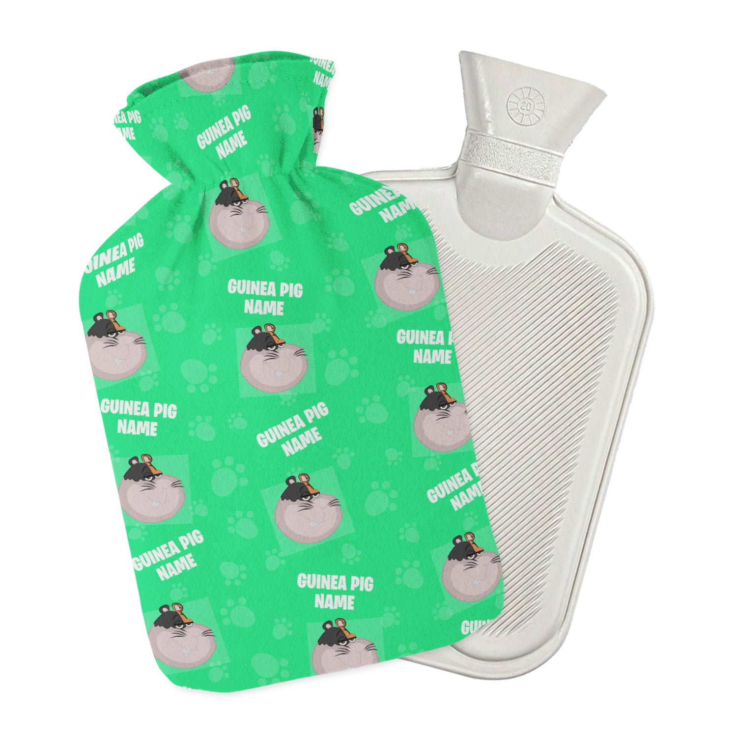 Guinea pig sales hot water bottle